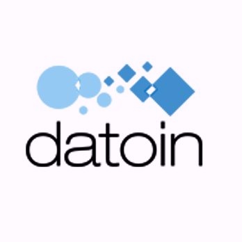 Datoin logo