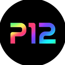 P12 Project Twelve logo