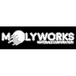 MolyWorks Materials Corp logo