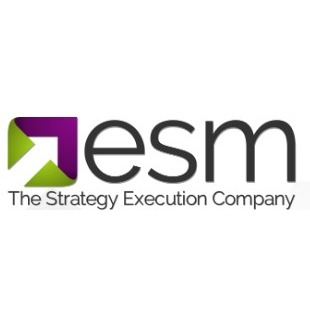 Esm Software Group, Inc. logo