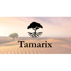 Tamarix Equity Partners, LP logo