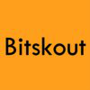 Bitskout logo