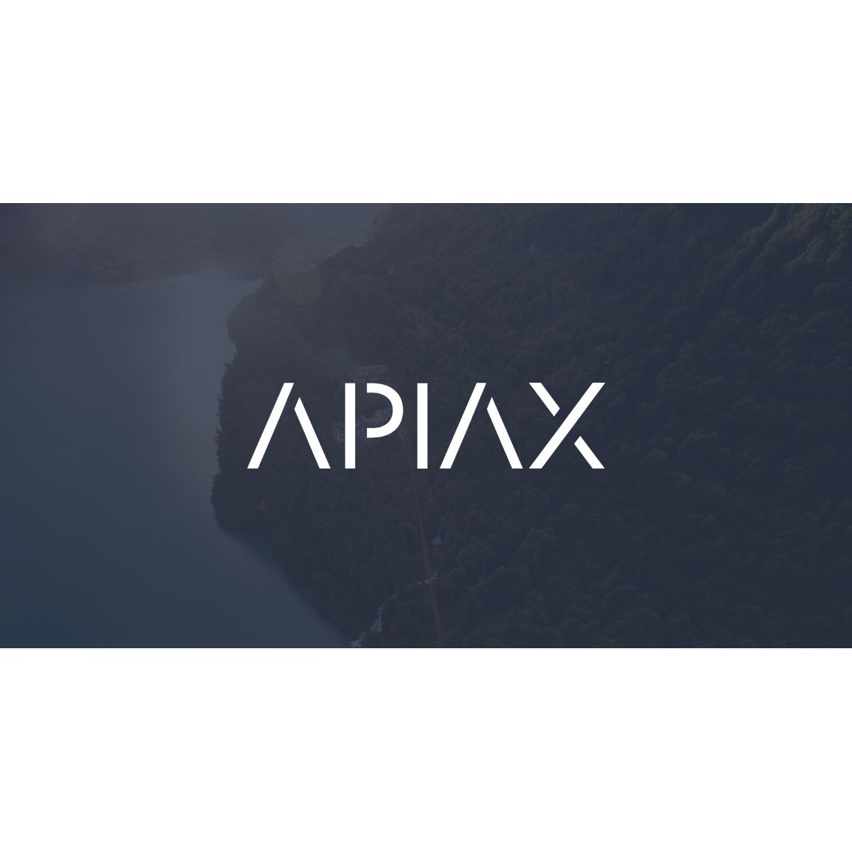 Apiax logo