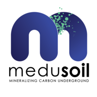 MeduSoil logo