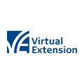 Virtual Extension logo