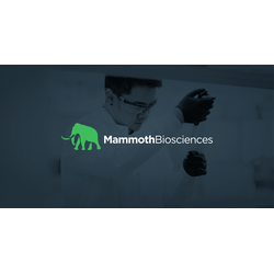 Mammoth Diagnostics logo