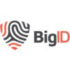 BigID logo