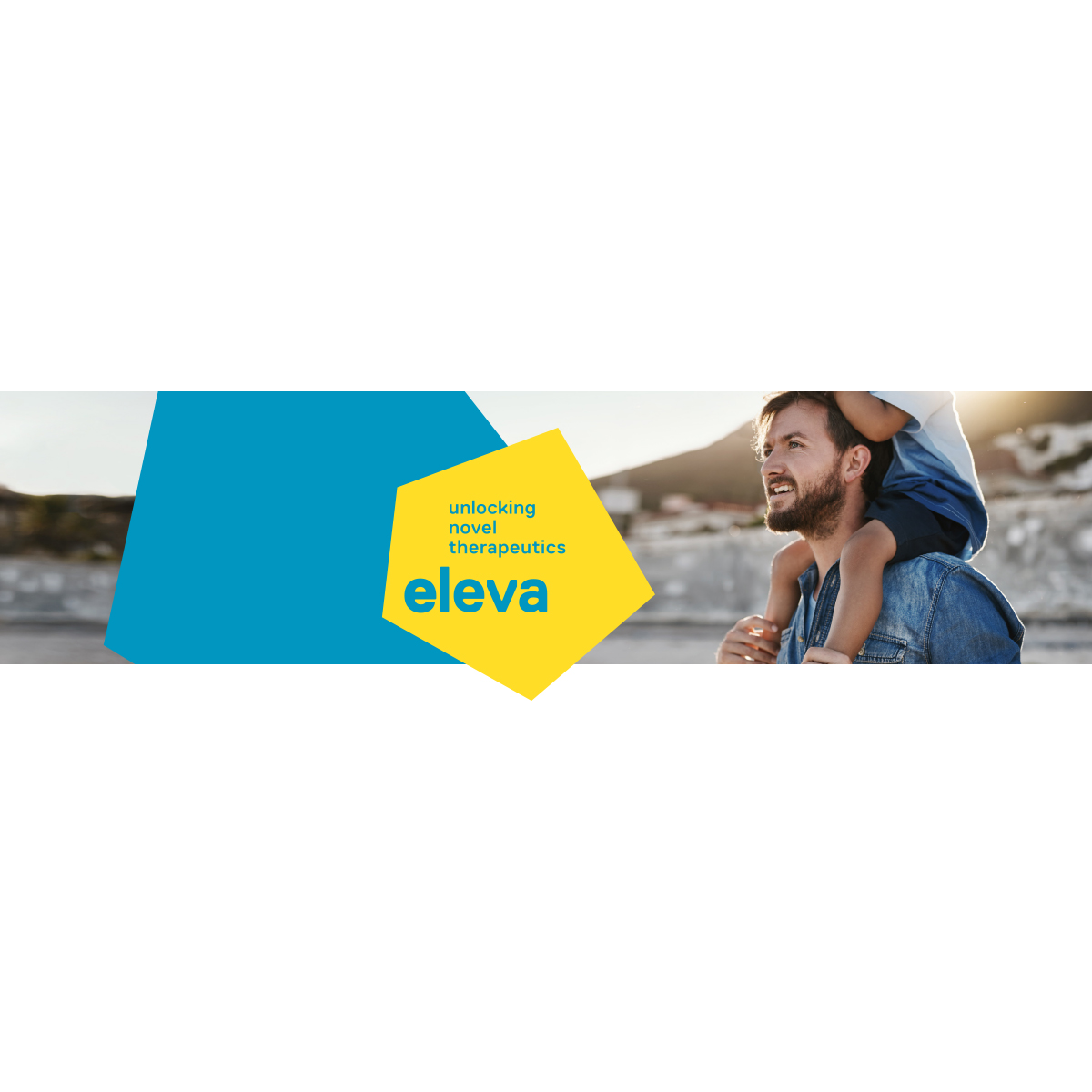 Eleva logo