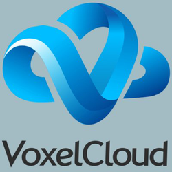 VoxelCloud logo