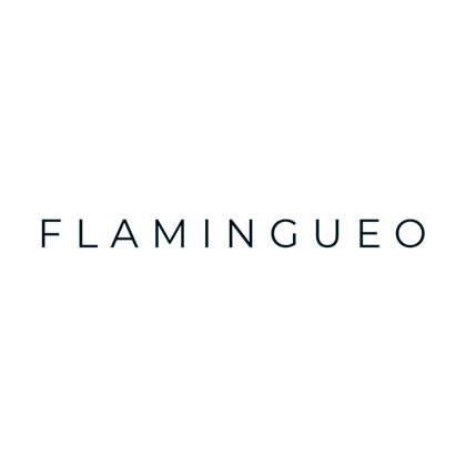 Flamingueo logo