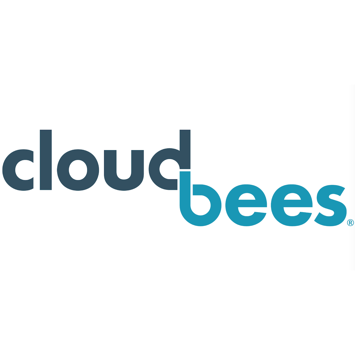 CLOUDBEES, INC. logo