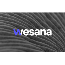 WeSana Health logo