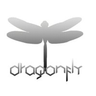 Dragonfly`s eyes logo