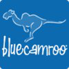 BlueCamroo logo