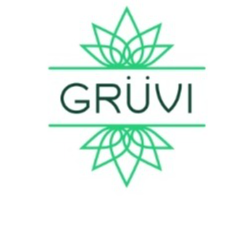 Gruvi logo