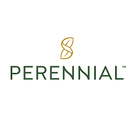 Perennial logo