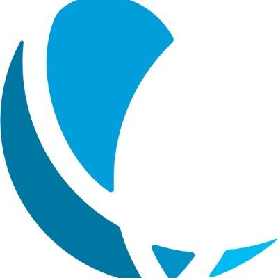 Bluesource logo