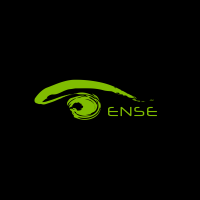 OSENSE TECHNOLOGY CO., LTD. logo