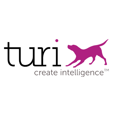 Turi logo