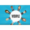 Visiple logo