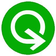 Quickize logo