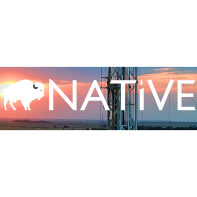 Native Exploration Holdings logo