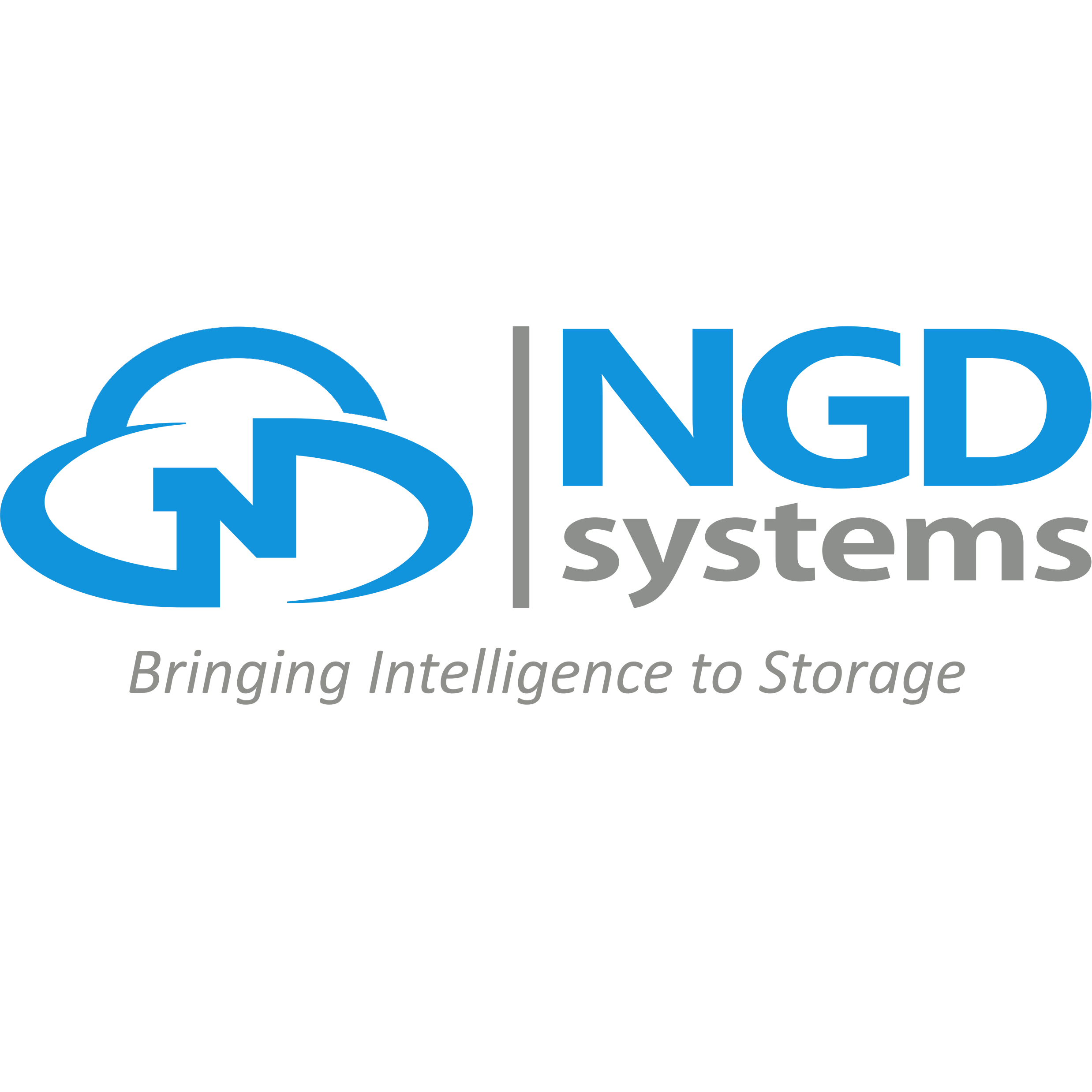 NGD Systems logo