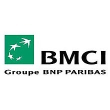 BMCI logo