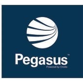 Pegasus Management logo