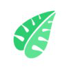 Canopy Analytics logo