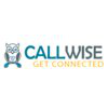 CallWise logo