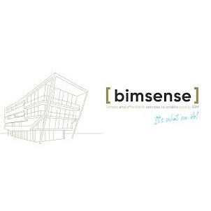 Bimsense Ltd logo