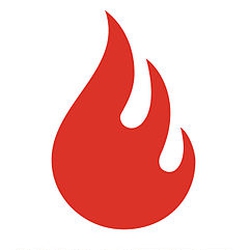 Wildfire Interactive logo