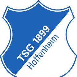 TSG 1899 Hoffenheim logo