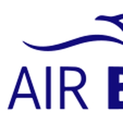 Air Busan logo