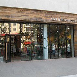 Anthropologie logo