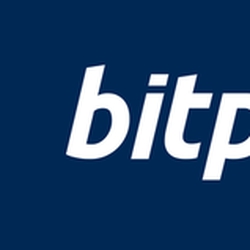 BitPay logo