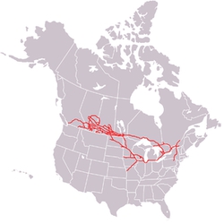 Canadian Pacific Railway logo