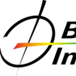 Bohemia Interactive logo