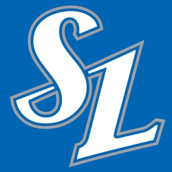 Samsung Lions logo