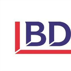 BDO USA, LLP logo