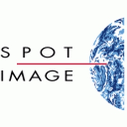 Spot Image logo