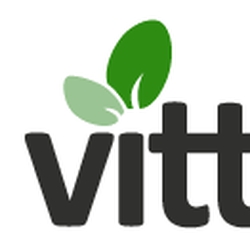 Vittana logo